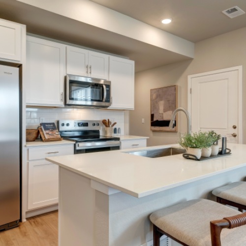 Undermount sinks in kitchen