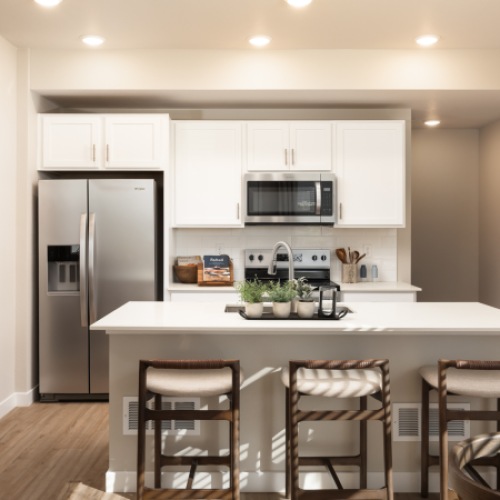 Undermount sinks in kitchen